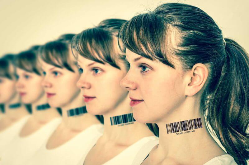 clones-cloned-ss-1920-800x532 clones-cloned-ss-1920-800x532